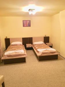 ソバタにあるPensiunea Dianaのベッド2台(サイドサイドサイド)が備わる客室です。