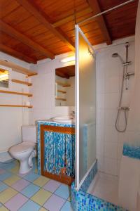 a bathroom with a shower and a toilet at Porticcio Terra Bella in Porticcio