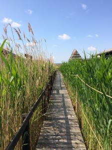 a boardwalk through a field of tall grass at Pfahlbau in Weiden am See in Weiden am See