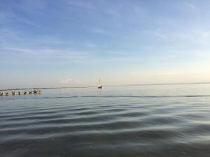 Paesaggio naturale nelle vicinanze della casa vacanze