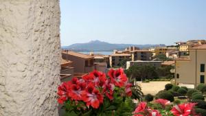 un montón de flores rojas en una olla al lado de un edificio en Blu Baita en La Maddalena