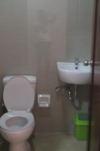 La salle de bains est pourvue de toilettes et d'un lavabo. dans l'établissement La Casa Milagrosa, à Coron