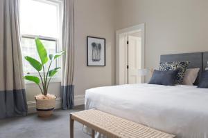 a bedroom with a white bed and a potted plant at Villa Maria Barossa Luxury Guesthouse in Tanunda