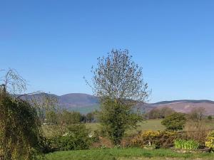תמונה מהגלריה של Mount Leinster View בבנקלודי