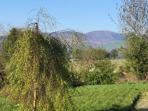תמונה מהגלריה של Mount Leinster View בבנקלודי