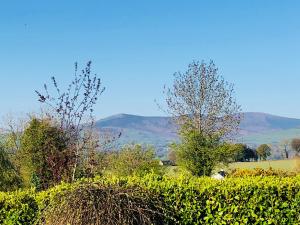 תמונה מהגלריה של Mount Leinster View בבנקלודי