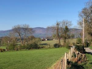 תמונה מהגלריה של Mount Leinster View בבנקלודי