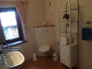 ein Bad mit einem WC und einem Waschbecken in der Unterkunft Ferienwohnung Dietlinde in Bad Blankenburg