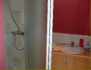 a bathroom with a sink and a shower at La Vallée des Trois Monts in Saint-Sylvestre-Cappel