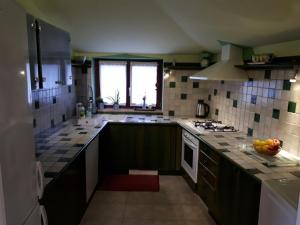 Kuchyň nebo kuchyňský kout v ubytování Apartman Aleks
