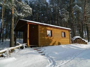 ムロンゴヴォにあるDomek na Mazurach Mrągowoの雪中の木造小屋