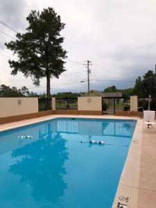 a large blue swimming pool with a tree in the background at Millennium Inn in Ellisville