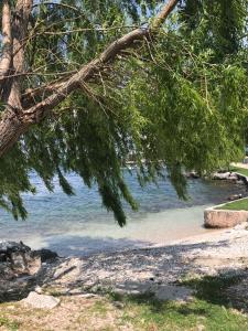 ブレンゾーネにあるHotel Smeraldoの水辺の浜辺に吊るされた木