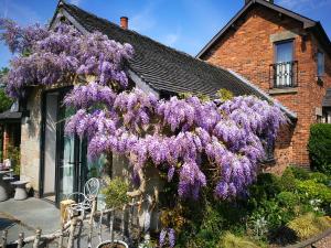 una corona de flores púrpuras colgando de una casa en Hayeswood Lodge Luxury Accommodation, en Stanley