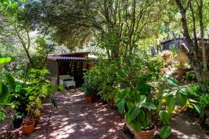 A garden outside Casa Saltara