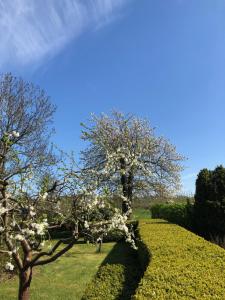 Zahrada ubytování Killegården på Kivik