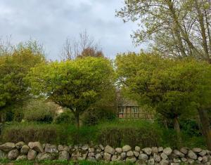 Zahrada ubytování Killegården på Kivik