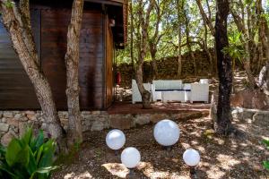 A garden outside Casa Saltara