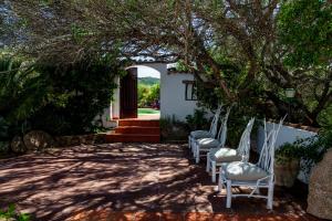 A garden outside Casa Saltara