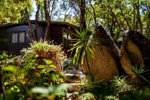 A garden outside Casa Saltara
