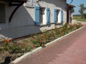 a building with blue windows and flowers next to a sidewalk at Le Petit Breuil in Verteillac