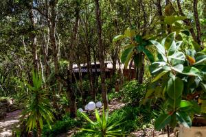 A garden outside Casa Saltara