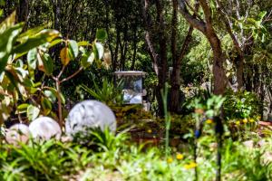 A garden outside Casa Saltara