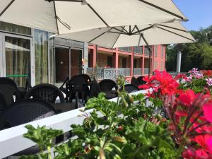 Zahrada ubytování Hotel Langhe & Monferrato