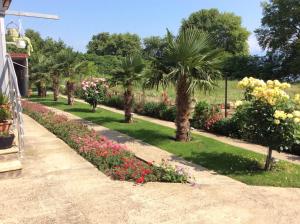 a garden with palm trees and flowers on a sidewalk at Apartment Slavica in Star Dojran