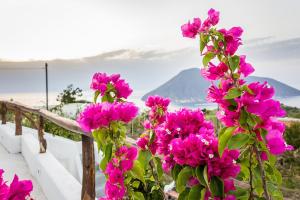 un ramo de flores rosas en una valla en a Loggia en Lipari