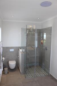 a bathroom with a glass shower and a toilet at Whale Rock Luxury Lodge in Hermanus