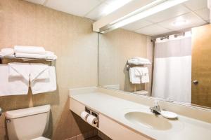 ein Badezimmer mit Waschbecken, Toilette und Spiegel in der Unterkunft Lodge of the Ozarks in Branson
