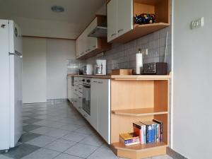 Η κουζίνα ή μικρή κουζίνα στο Apartment Beks