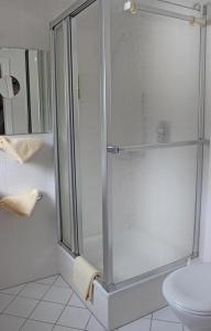 a shower with a glass door in a bathroom at Hotel Adlerschanze in Schönwald