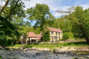 a house next to a river with a building at Moulin des Templiers Hôtel & SPA in Pontaubert