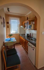 Kuchyňa alebo kuchynka v ubytovaní Katica Apartman