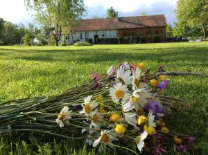 un bouquet de fleurs sur l'herbe dans l'établissement Cseri Porta, à Szalafő