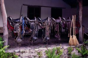 Fotografie z fotogalerie ubytování Hotel Hacienda San Lucas v destinaci Copan Ruinas
