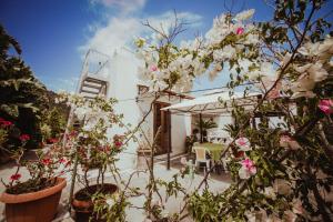 un jardin avec des fleurs et des plantes devant un bâtiment dans l'établissement Casa Papiro, à Lipari