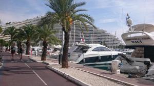 a boat is docked in a marina with palm trees at Baie des anges appartement Bis in Villeneuve-Loubet