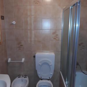 een badkamer met een toilet, een wastafel en een douche bij il Battito in Saint Vincent