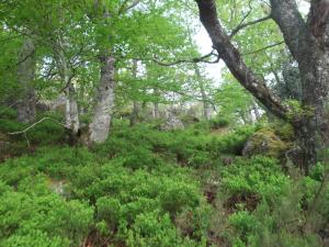 Fotografie z fotogalerie ubytování Apartamento San Mamés v destinaci San Mamés