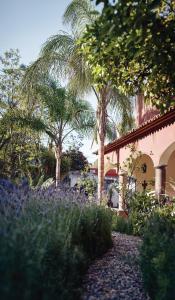 a garden with purple flowers in front of a building at Casa de Sierra Nevada, A Belmond Hotel, San Miguel de Allende in San Miguel de Allende
