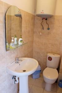 a bathroom with a sink and a toilet and a mirror at Sovinyon in Odesa +21 photos