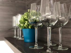 Nápoje v ubytovaní Nexus Apartmenthotel