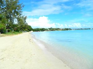 a view of a beach with trees and the water at ARIEL BEACH VILLA* in Grand Baie