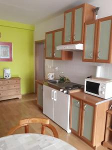 ハルラホフにあるAPARTMÁN GALERIEの緑の壁のキッチン(白い電子レンジ付)