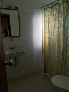 ein Bad mit einem Waschbecken und einem Duschvorhang in der Unterkunft Posada Santa María in Mineral del Chico