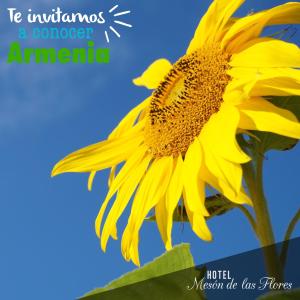 Foto Armenias asuva majutusasutuse Hotel Meson de las Flores galeriist