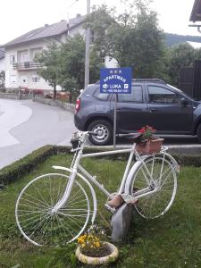 Jízda na kole v ubytování Apartman Luka nebo okolí